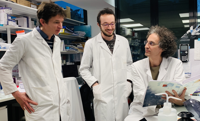 Equipe CRISPR - Raphaël Margueron, Aurélien Boré, Michel Wassef