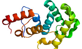 Protein MBD4 PDB 1ngn